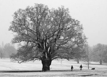 People on field by trees against sky during winter