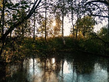 Reflection of trees in lake against sky