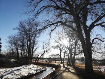 Bare trees by road against sky during winter