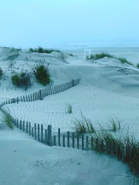 Dunes during covid in spring 2020. location is on the border of avalon and stone harbor 