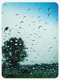 Close-up of water drops on glass