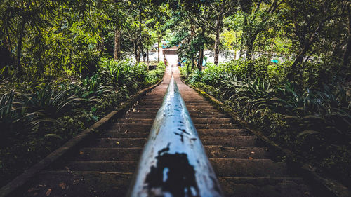 High angle view of staircase along plants and trees