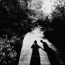 Shadow of people on tree trunk