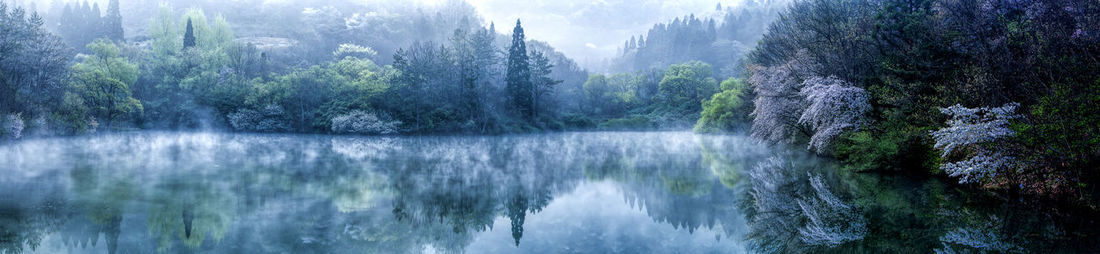 Scenic view of waterfall in forest against sky