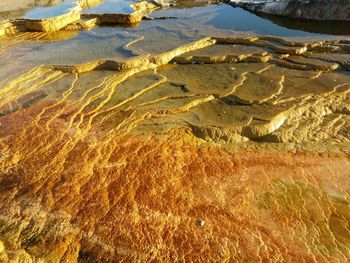 Tiered hot spring in yellowstone national park