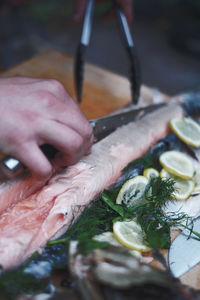Close-up of hand holding fish