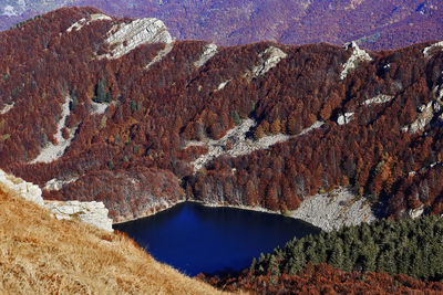 Mountain lake in autumn forest foliage aerial panoraminc view, italy