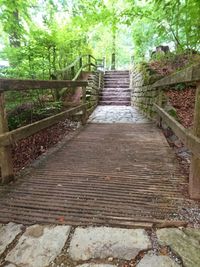 Footbridge in forest