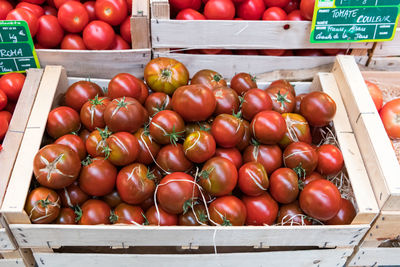 Red tomatoes in the market