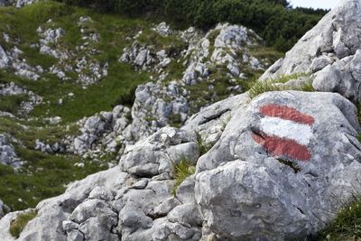 Close-up of rock