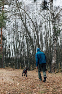 Rear view of man with dog walking in forest