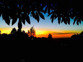 Silhouette trees on landscape against sky at sunset