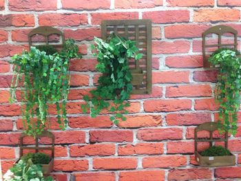 Ivy growing on brick wall