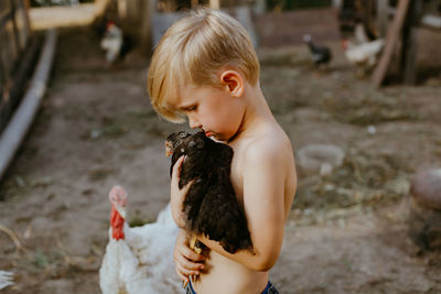 Shirtless boy holding chicken at farm