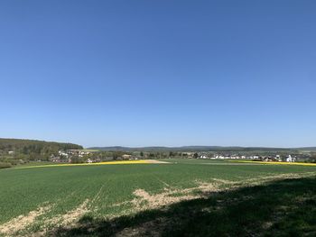 Scenic view of field against clear blue sky