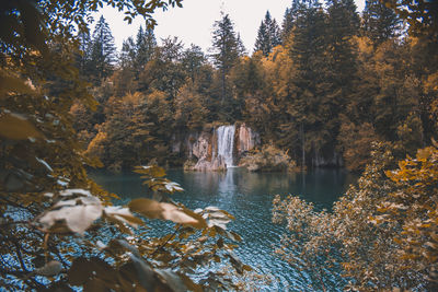 Scenic view of lake in forest during autumn