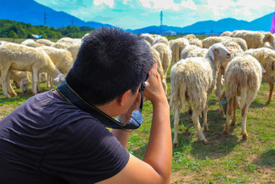 Asian photographer taking photo sheep on the farm