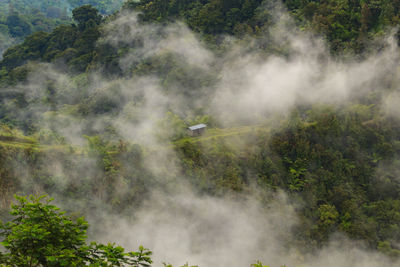 Scenic view of waterfall