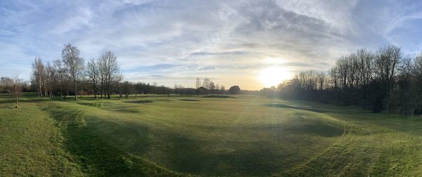 Scenic view of field against sky