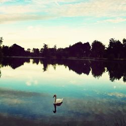 Scenic view of calm lake at sunset