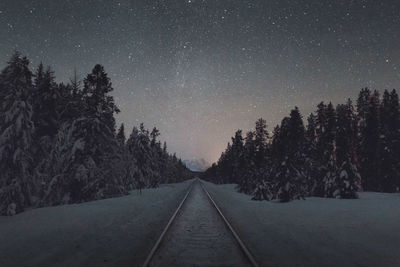 Scenic view of trees against clear sky at night