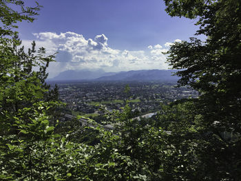 Scenic view of forest against sky