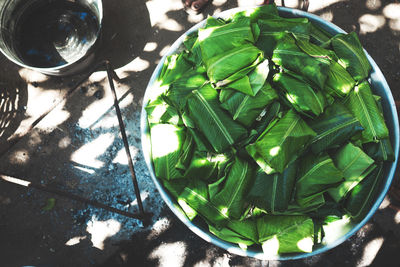 High angle view of plants
