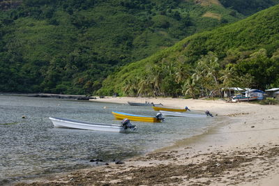 People on beach against trees