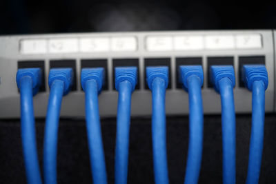 Selective focus of blue cat6 patch cord on patch panel