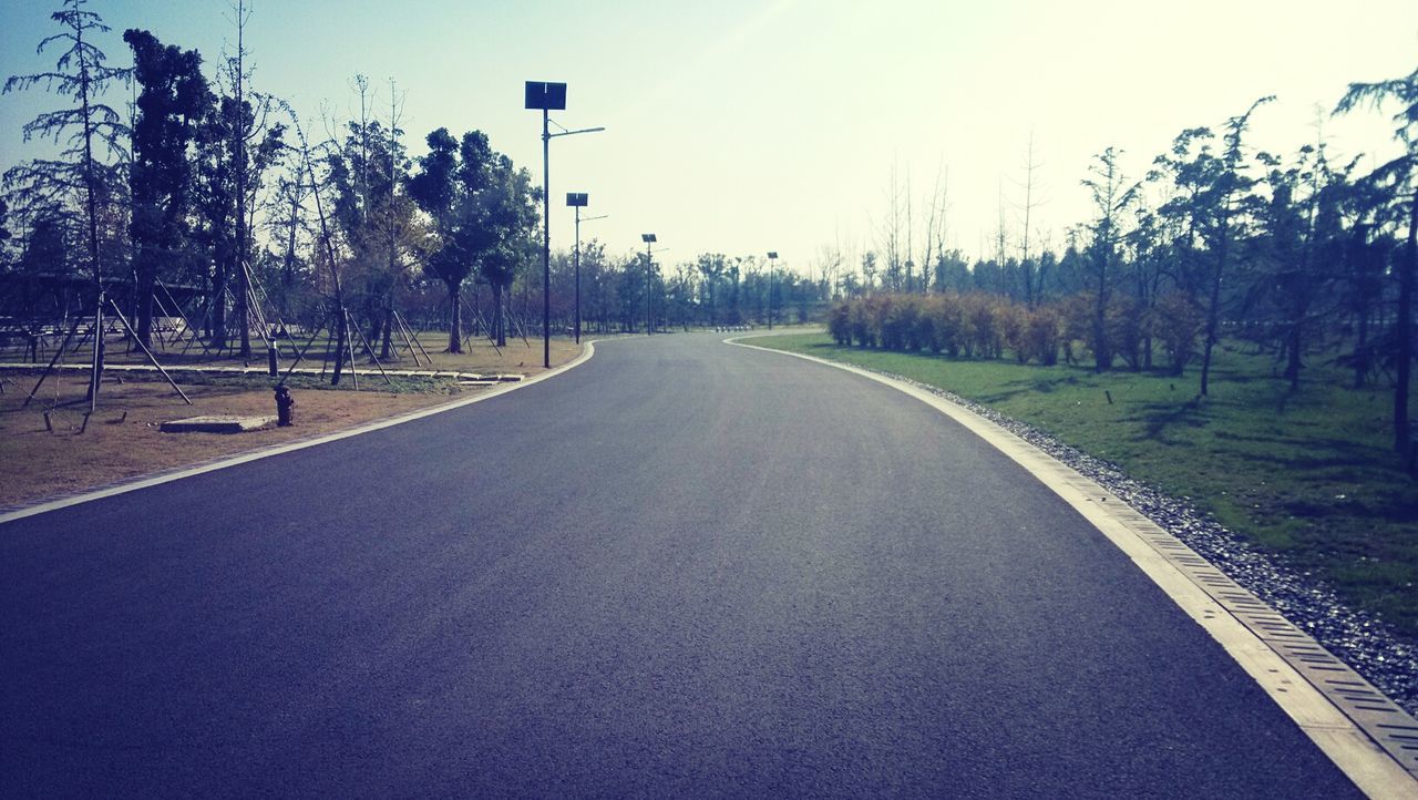 the way forward, diminishing perspective, vanishing point, tree, clear sky, road, transportation, long, empty, empty road, sky, treelined, tranquility, road marking, tranquil scene, street, grass, country road, asphalt, nature