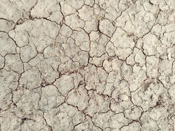 Close-up of cracked land