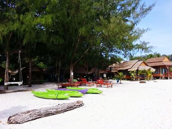 tree, beach, building exterior, sand, built structure, architecture, palm tree, sunlight, sky, incidental people, house, day, chair, outdoors, growth, lounge chair, in a row, nature, absence, thatched roof