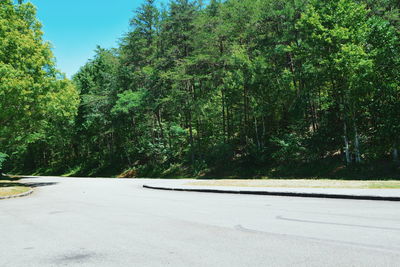 Empty road amidst trees on sunny day