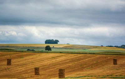 Scenic view of agricultural field against sky