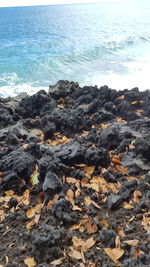 Close-up of beach against sky