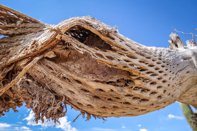 Low angle view of a tree against clear blue sky