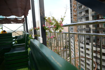 Potted plants by railing in city against buildings