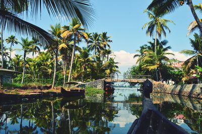 Reflection of palm trees on water against sky