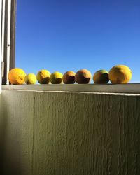 View of fruits against clear sky