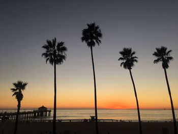 Silhouette palm trees on beach against sky during sunset