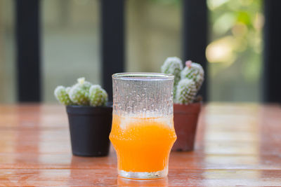 Close-up of drink on table