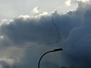 Low angle view of birds flying against sky