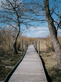 Empty footpath amidst bare trees against sky