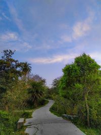 Road amidst trees against sky