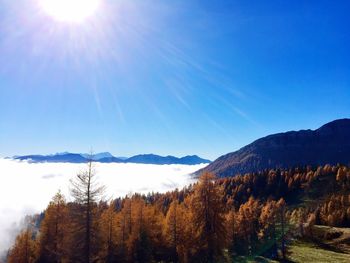 Scenic view of trees on mountain by cloudscape 