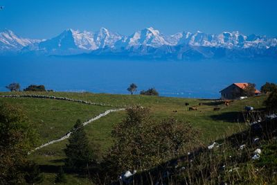 Scenic view of snowcapped mountains against blue sky