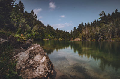 Scenic view of lake in forest against sky