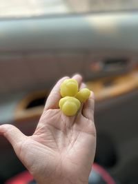 Close-up of hand holding star  gooseberry 