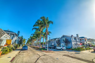 Palm trees by building against blue sky