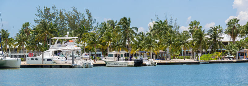 Panoramic shot of palm trees by sea against sky